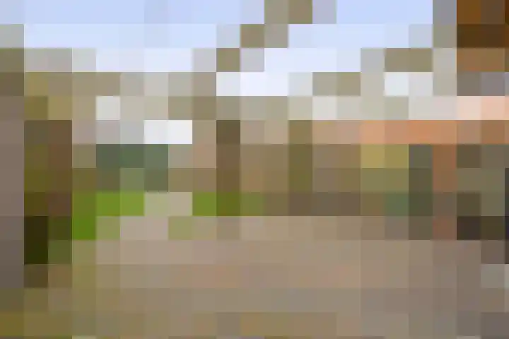Prinsessestraat 146 Lisse thumbnail 31