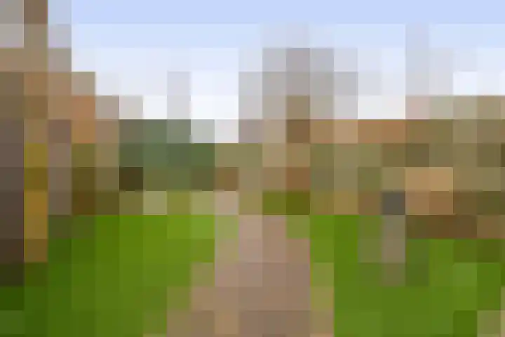 Prinsessestraat 146 Lisse thumbnail 32