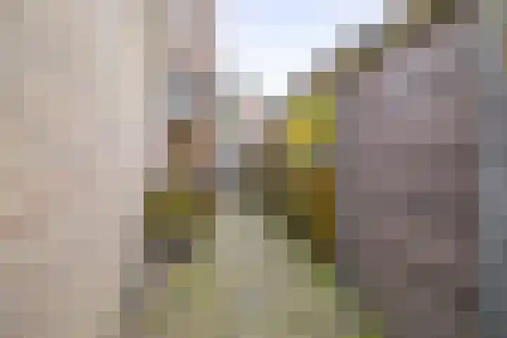 Prinsessestraat 146 Lisse thumbnail 38