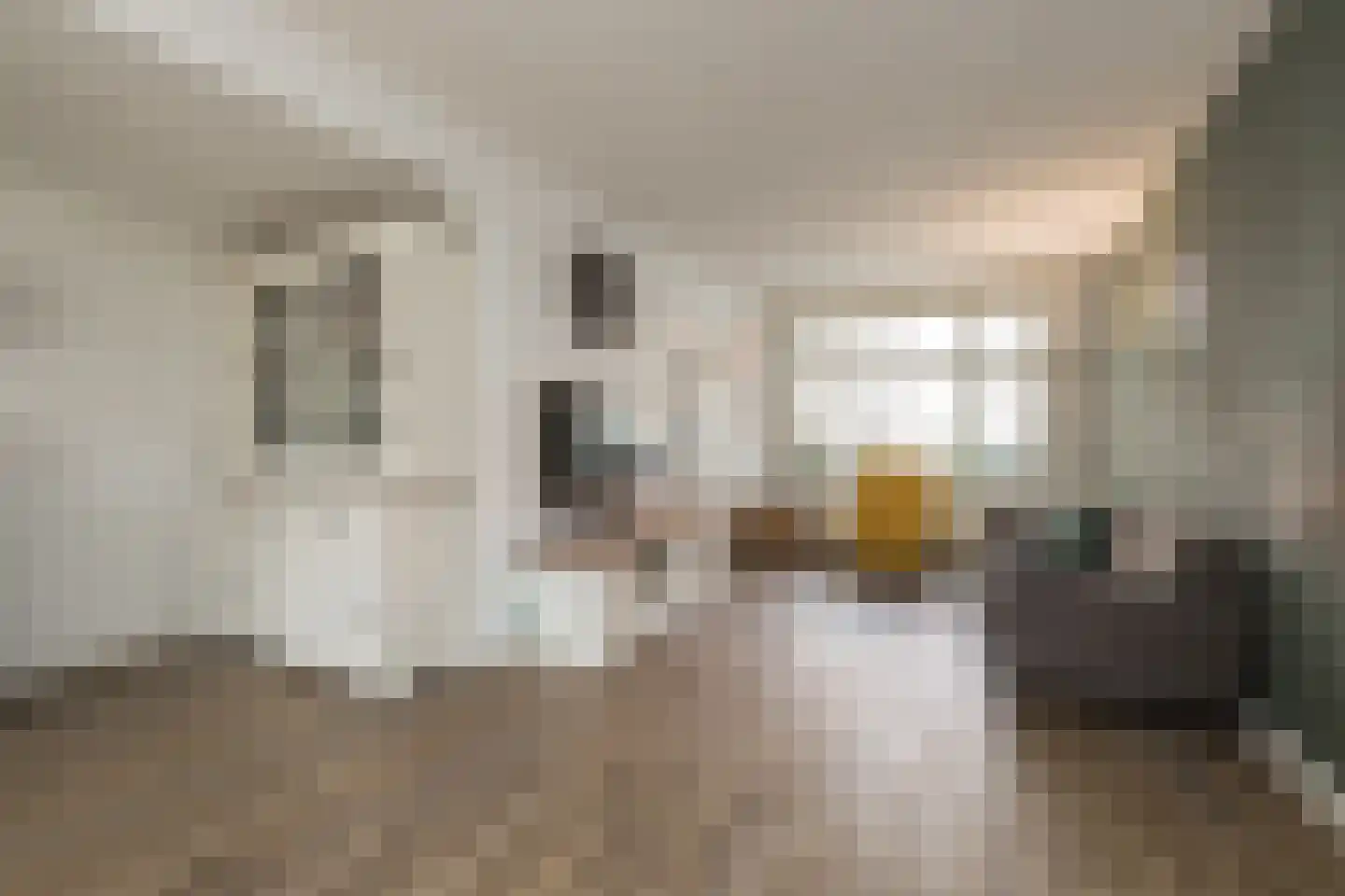 Prinsessestraat 75 Lisse thumbnail 10