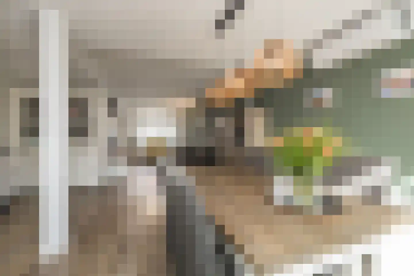 Prinsessestraat 75 Lisse thumbnail 11