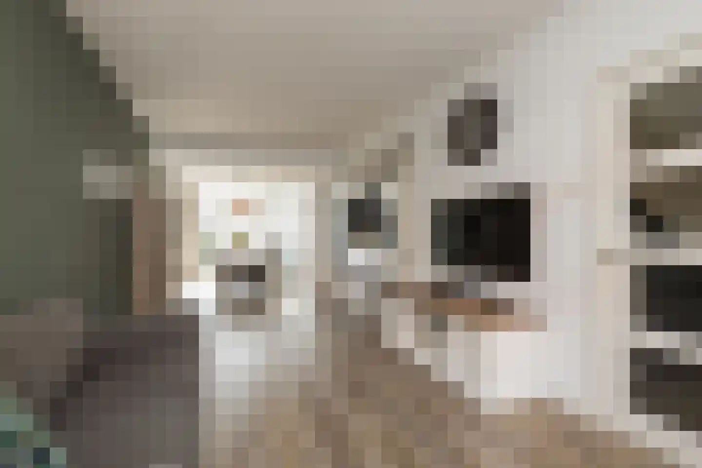 Prinsessestraat 75 Lisse thumbnail 7