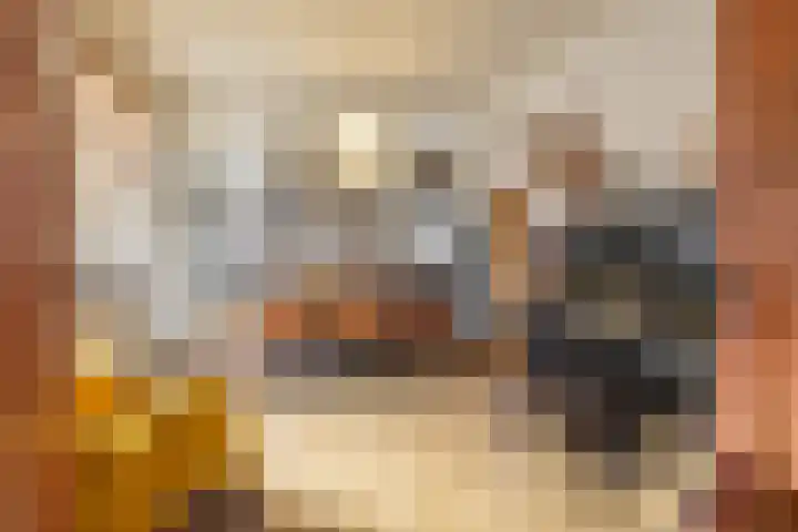 Prinsesseweg 12 Groningen thumbnail 14