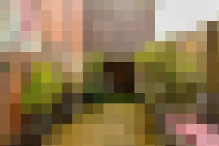 Prinsesseweg 12 Groningen thumbnail 23