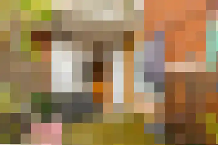 Prinsesseweg 12 Groningen thumbnail 24
