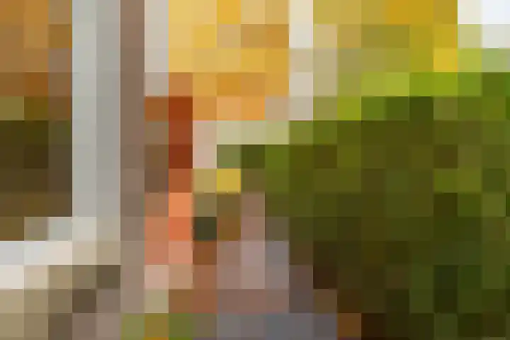 Prinsesseweg 12 Groningen thumbnail 25