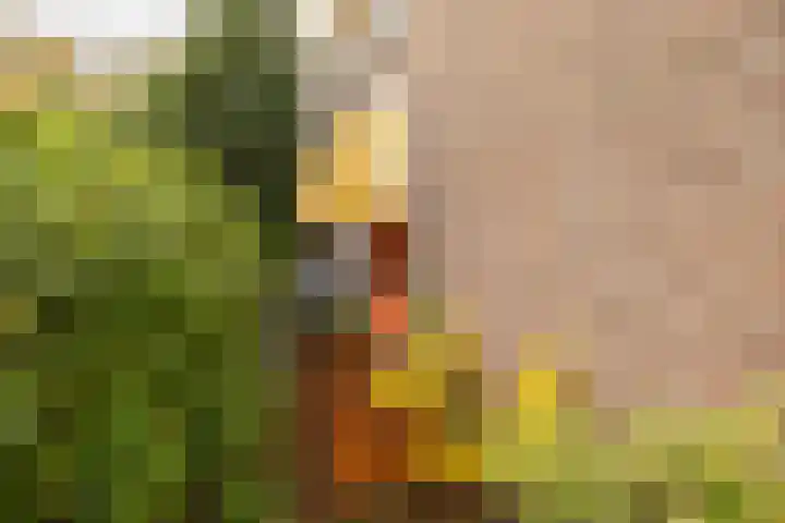 Prinsesseweg 12 Groningen thumbnail 26