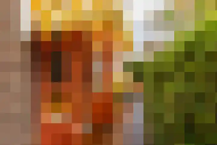 Prinsesseweg 12 Groningen thumbnail 27