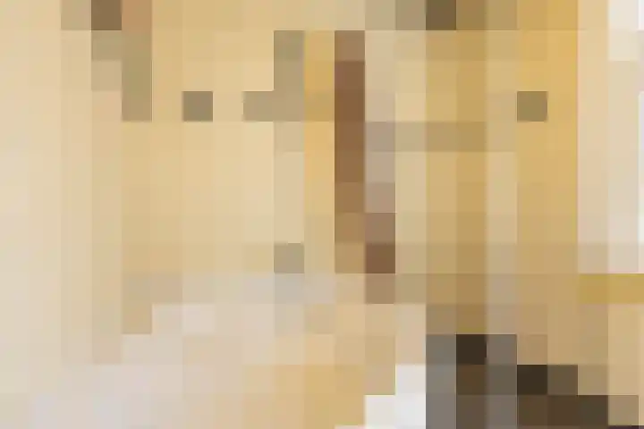 Prinsesseweg 12 Groningen thumbnail 31