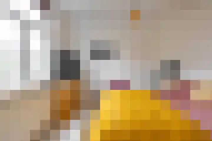 Prinsesseweg 12 Groningen thumbnail 39