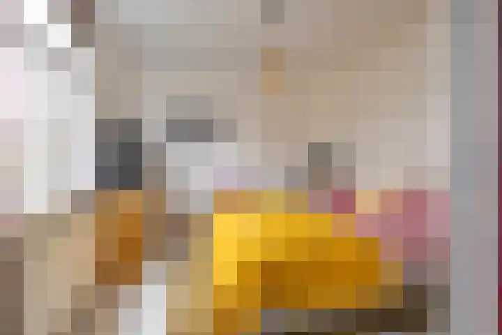 Prinsesseweg 12 Groningen thumbnail 4