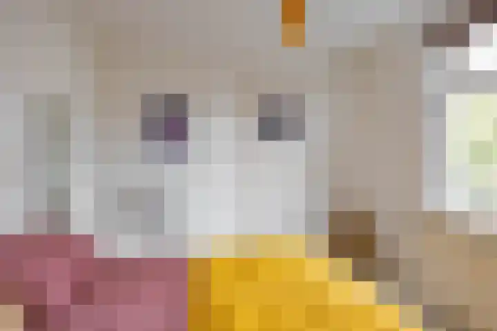 Prinsesseweg 12 Groningen thumbnail 40
