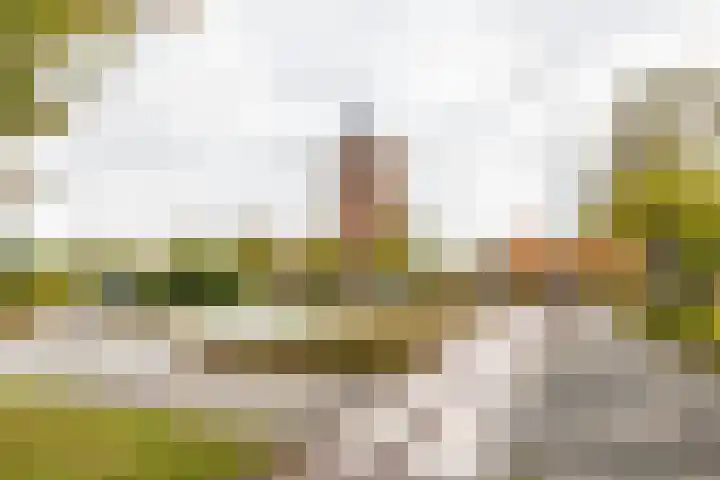Prinsesseweg 12 Groningen thumbnail 45