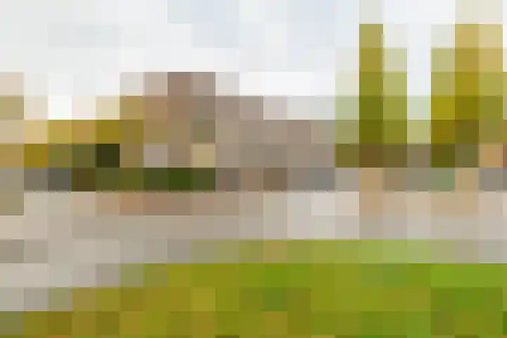 Prinsesseweg 12 Groningen thumbnail 46