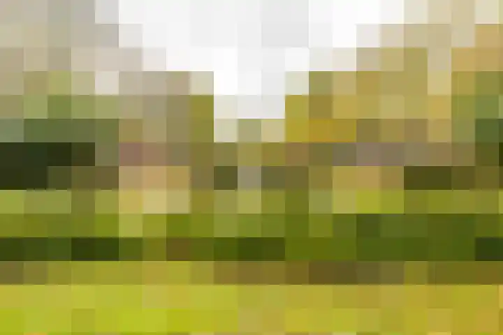 Prinsesseweg 12 Groningen thumbnail 47
