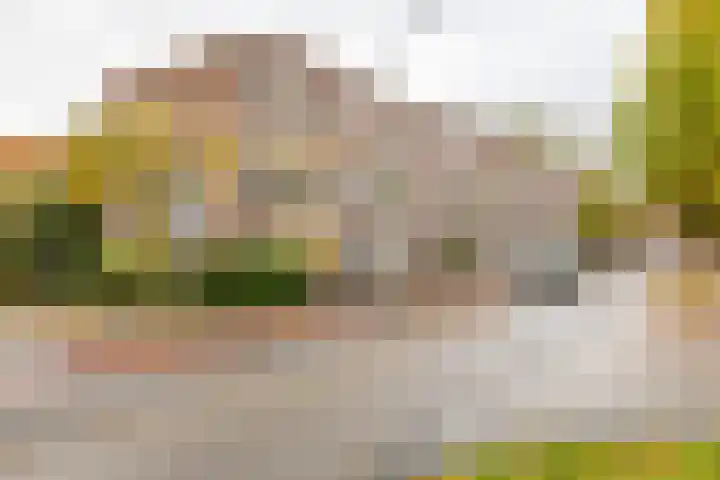 Prinsesseweg 12 Groningen thumbnail 5