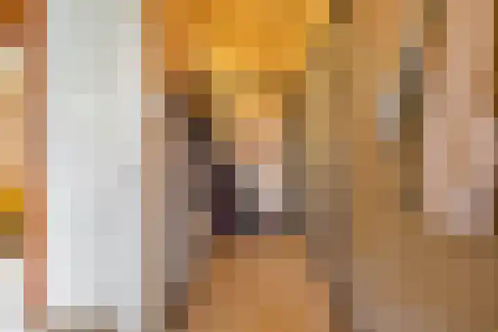 Prinsesseweg 12 Groningen thumbnail 9