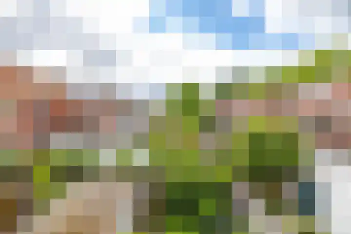 Prinsesseweg 16 a Groningen thumbnail 30