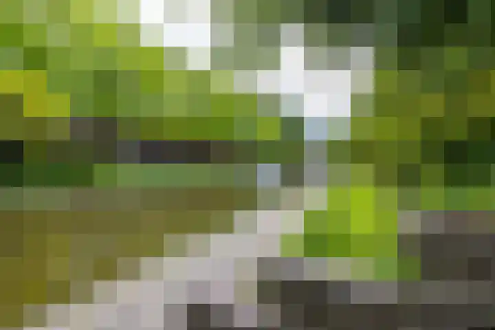 Prinsesseweg 16 a Groningen thumbnail 34