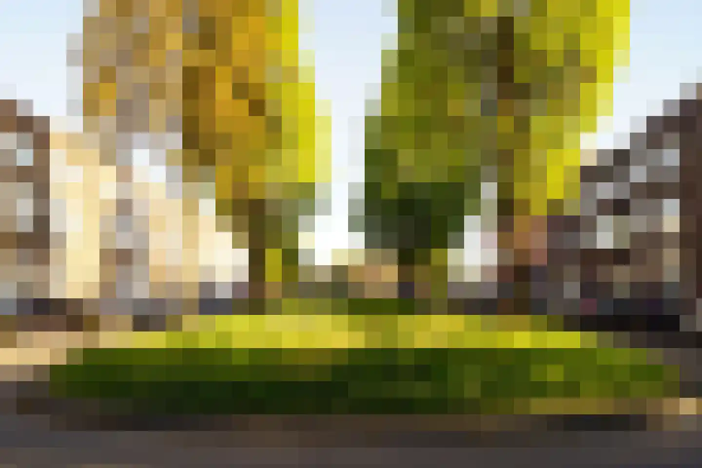 Prinsesseweg 16 Groningen thumbnail 39