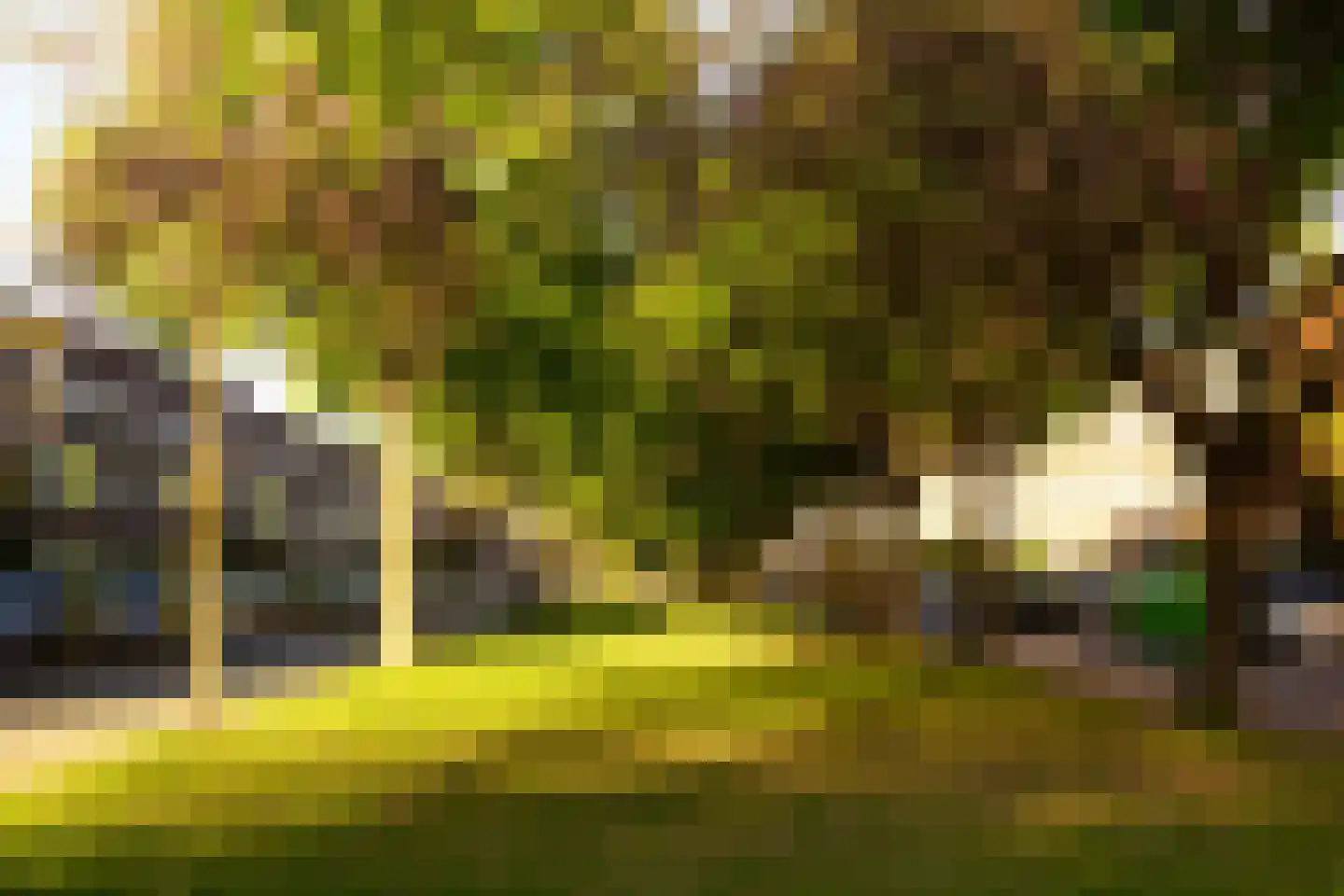 Prinsesseweg 16 Groningen thumbnail 40