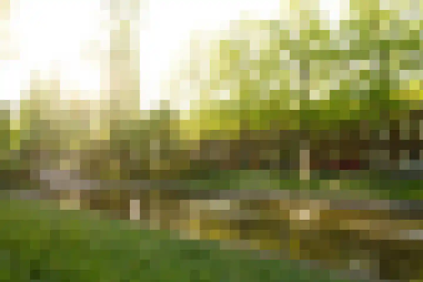 Prinsesseweg 16 Groningen thumbnail 41