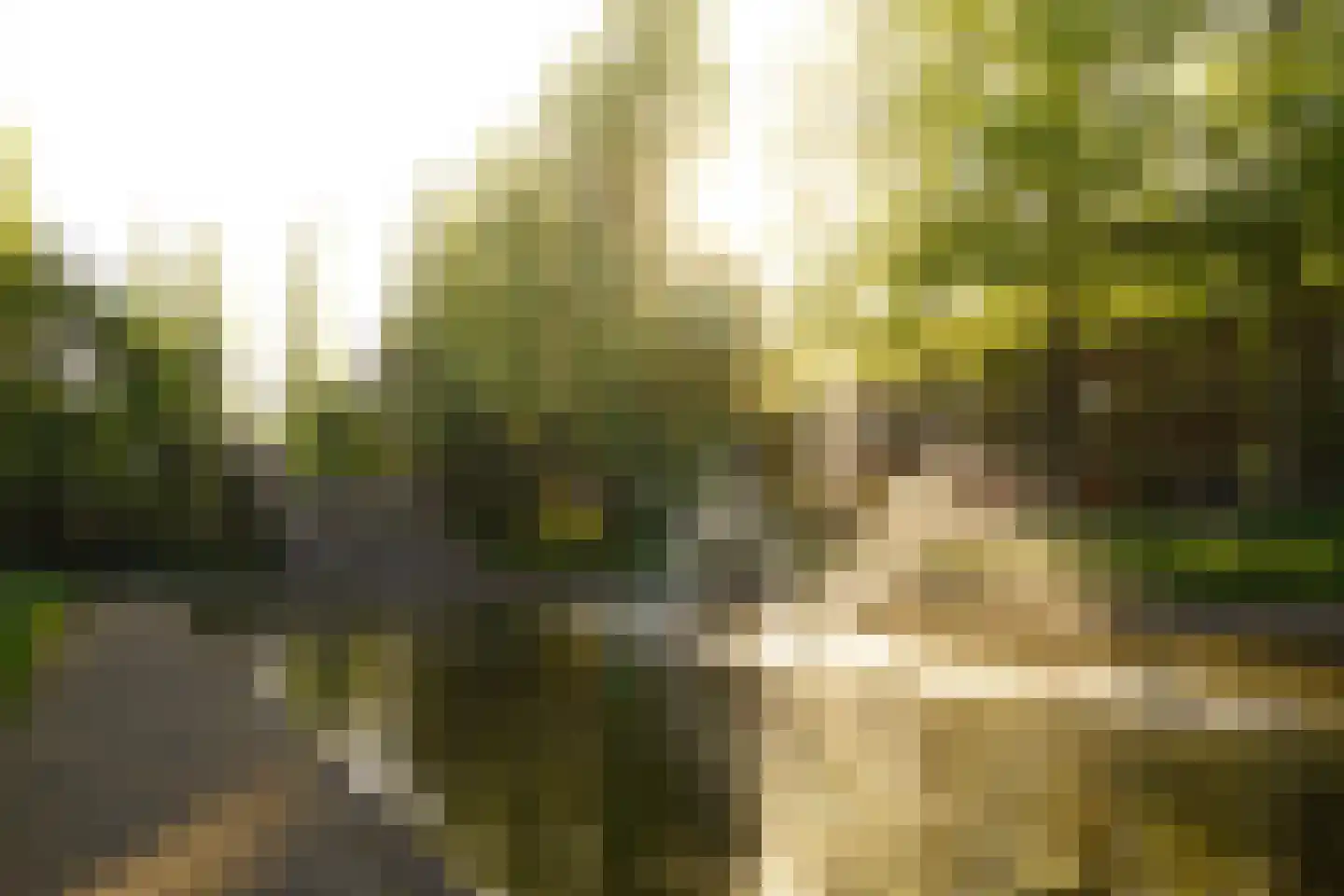 Prinsesseweg 16 Groningen thumbnail 42