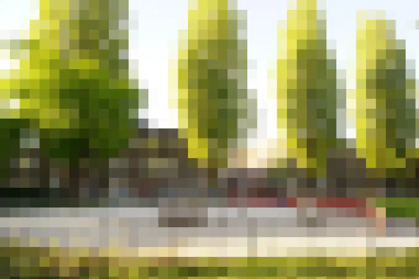 Prinsesseweg 16 Groningen thumbnail 43