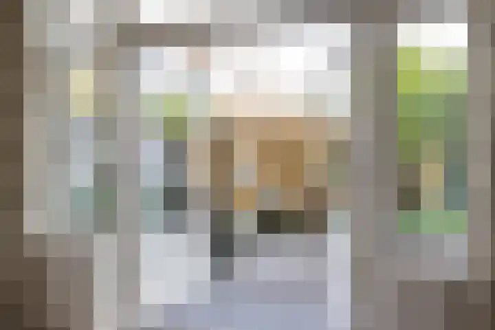Prinsesseweg 21 Groningen thumbnail 12