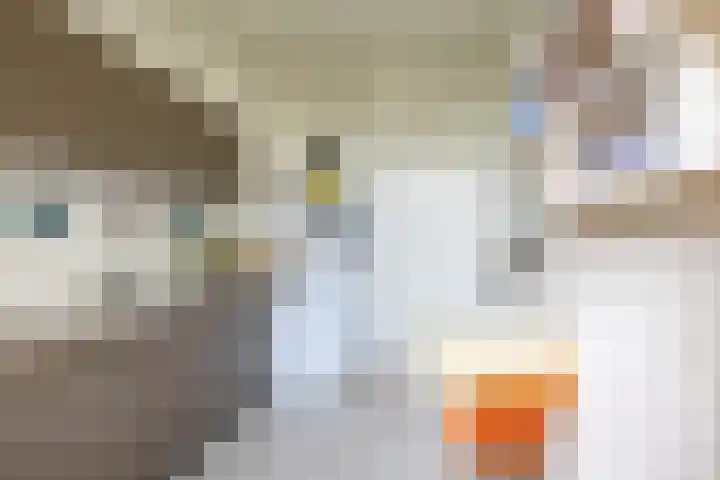 Prinsesseweg 21 Groningen thumbnail 14