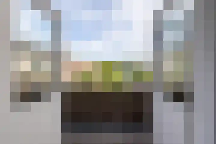 Prinsesseweg 21 Groningen thumbnail 26