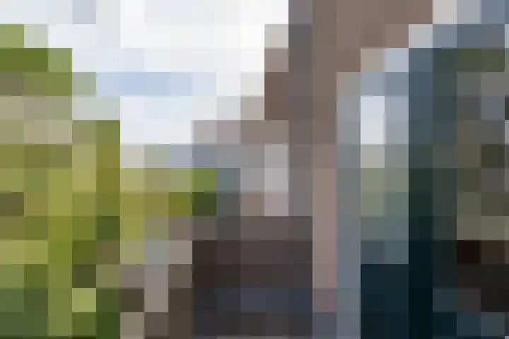 Prinsesseweg 21 Groningen thumbnail 27