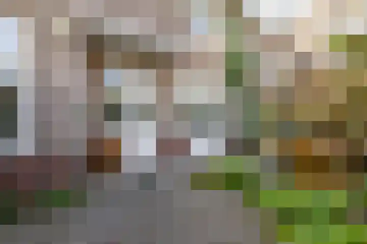 Prinsesseweg 21 Groningen thumbnail 28