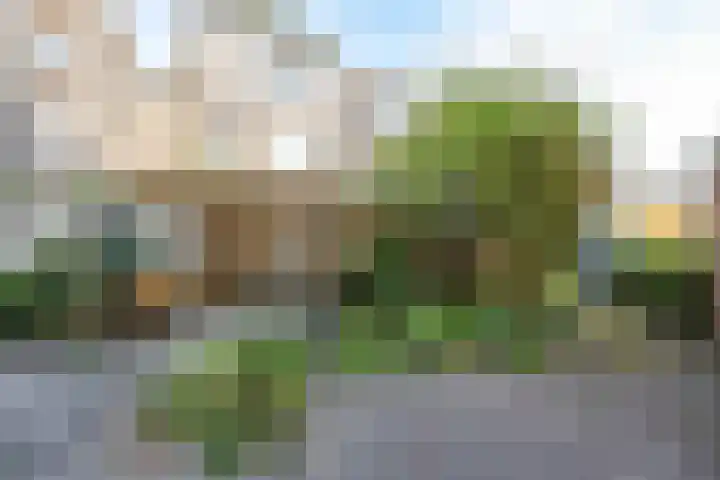 Prinsesseweg 21 Groningen thumbnail 29