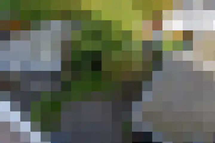 Prinsesseweg 21 Groningen thumbnail 32