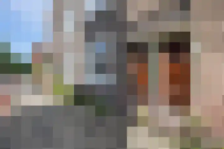 Prinsesseweg 21 Groningen thumbnail 36