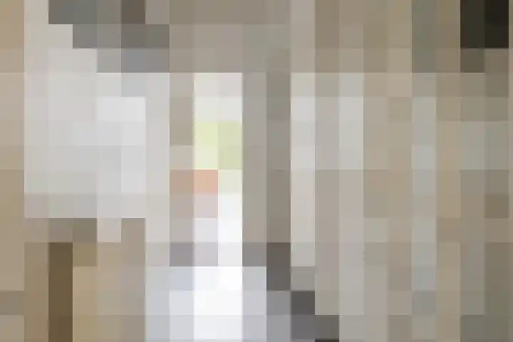 Prinsesseweg 21 Groningen thumbnail 4