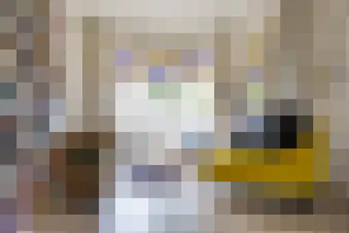 Prinsesseweg 21 Groningen thumbnail 7
