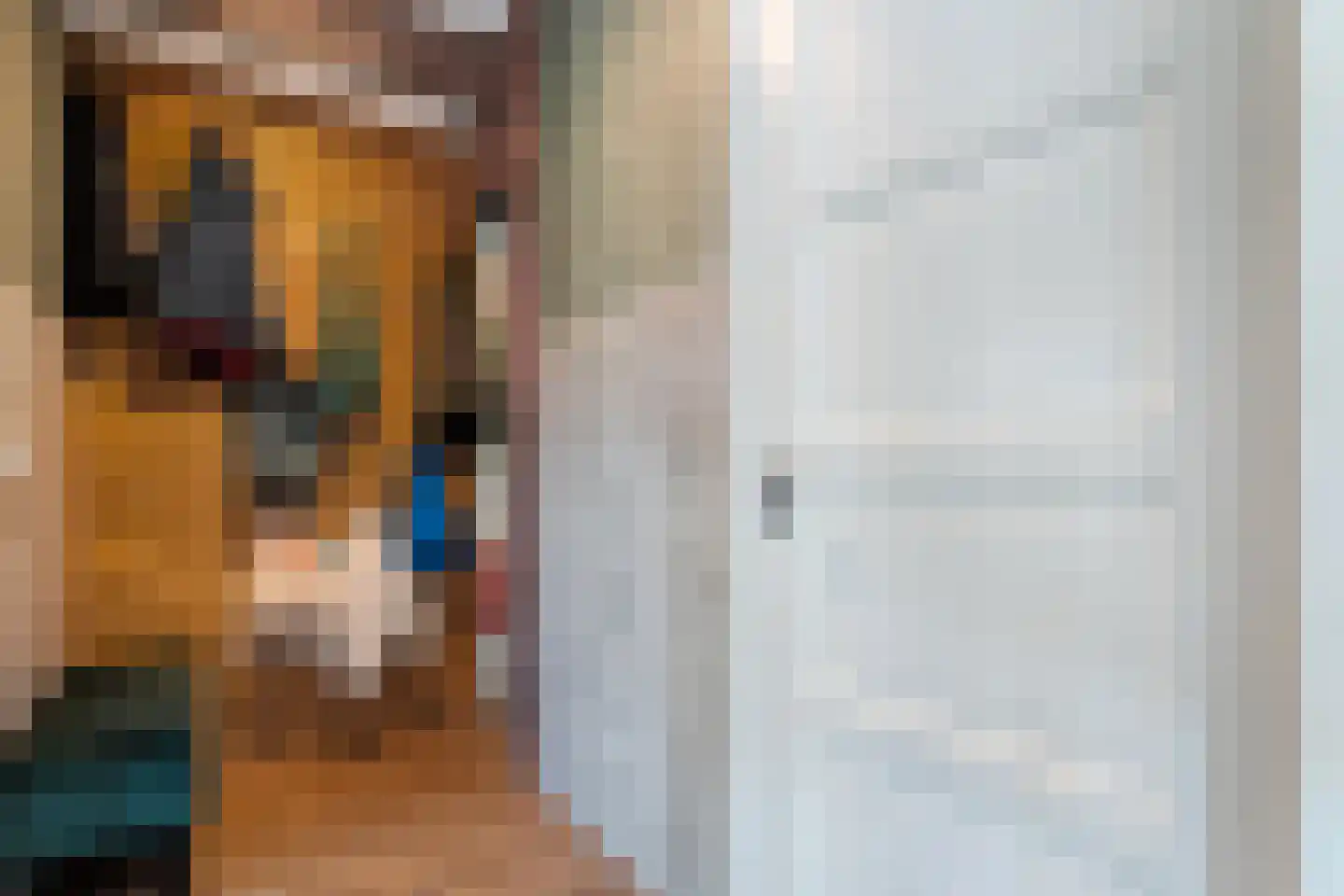 Prinsesseweg 3 Koekange thumbnail 19
