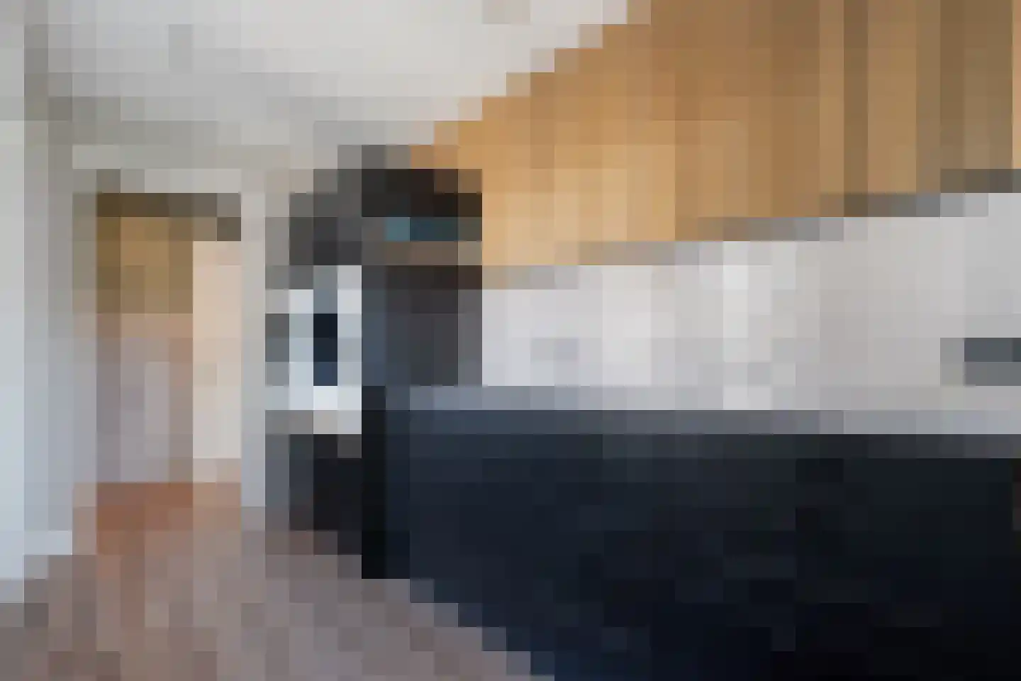 Prinsesseweg 3 Koekange thumbnail 22