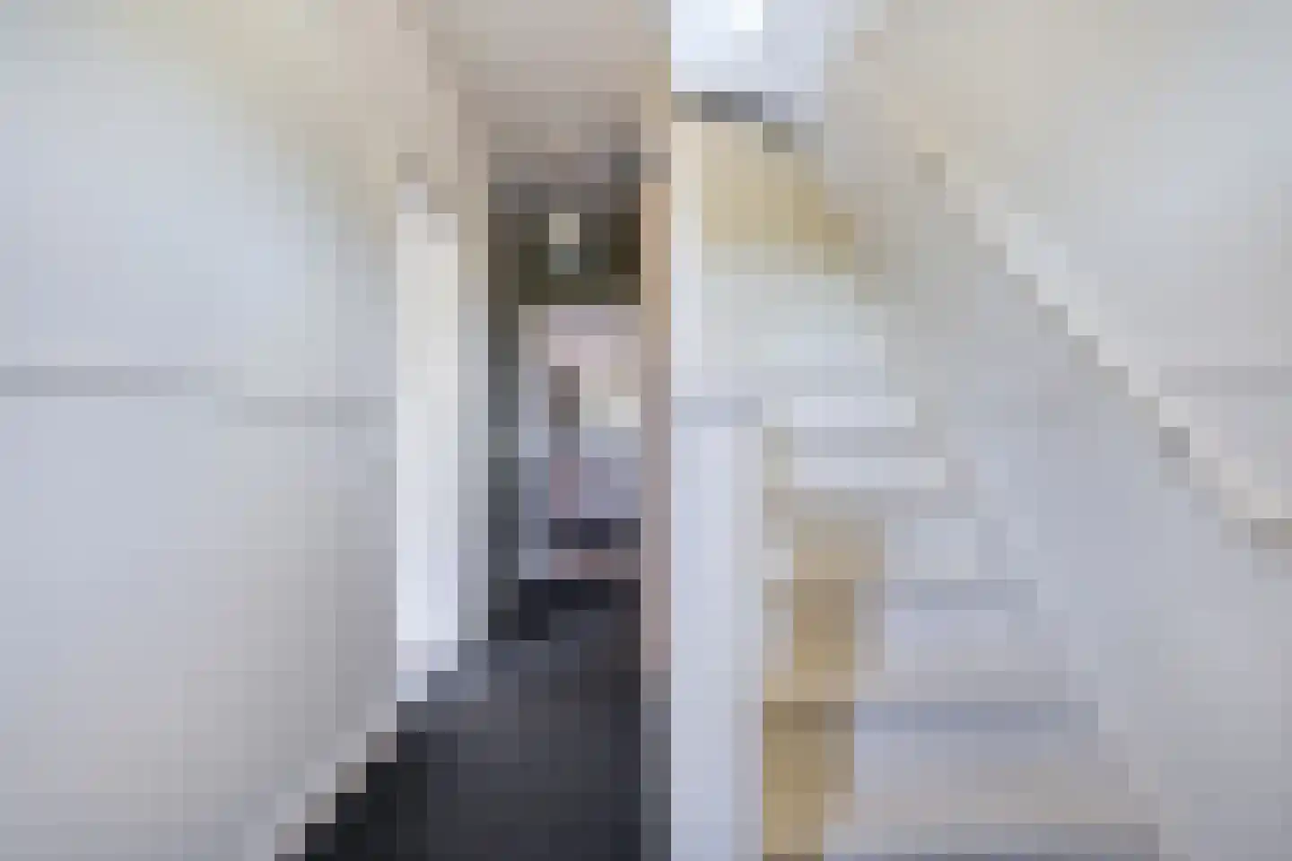Prinsesseweg 3 Koekange thumbnail 30