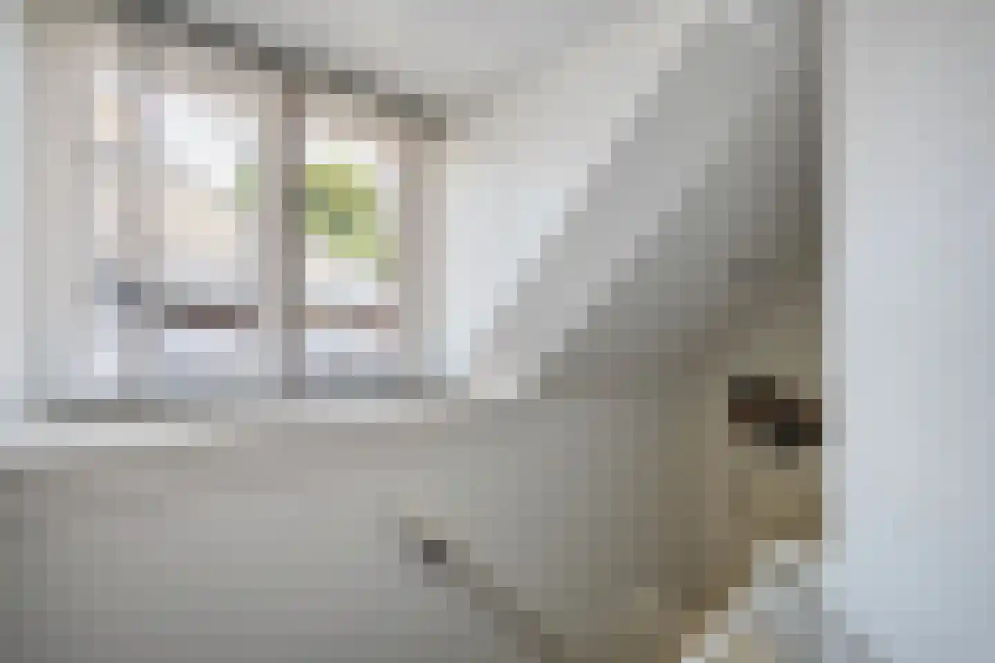 Prinsesseweg 3 Koekange thumbnail 32