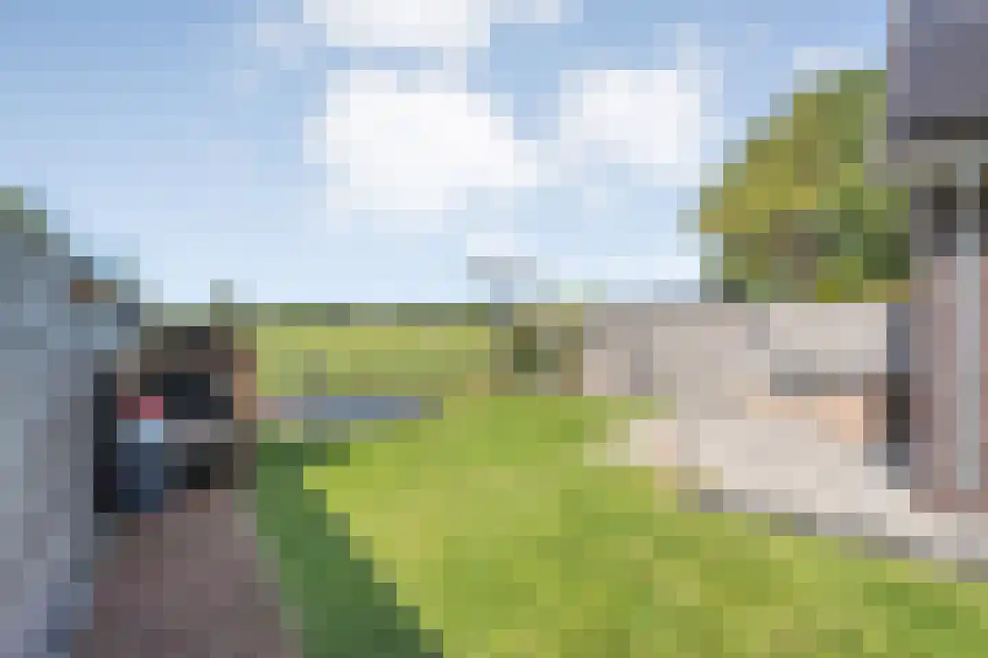 Prinsesseweg 3 Koekange thumbnail 48