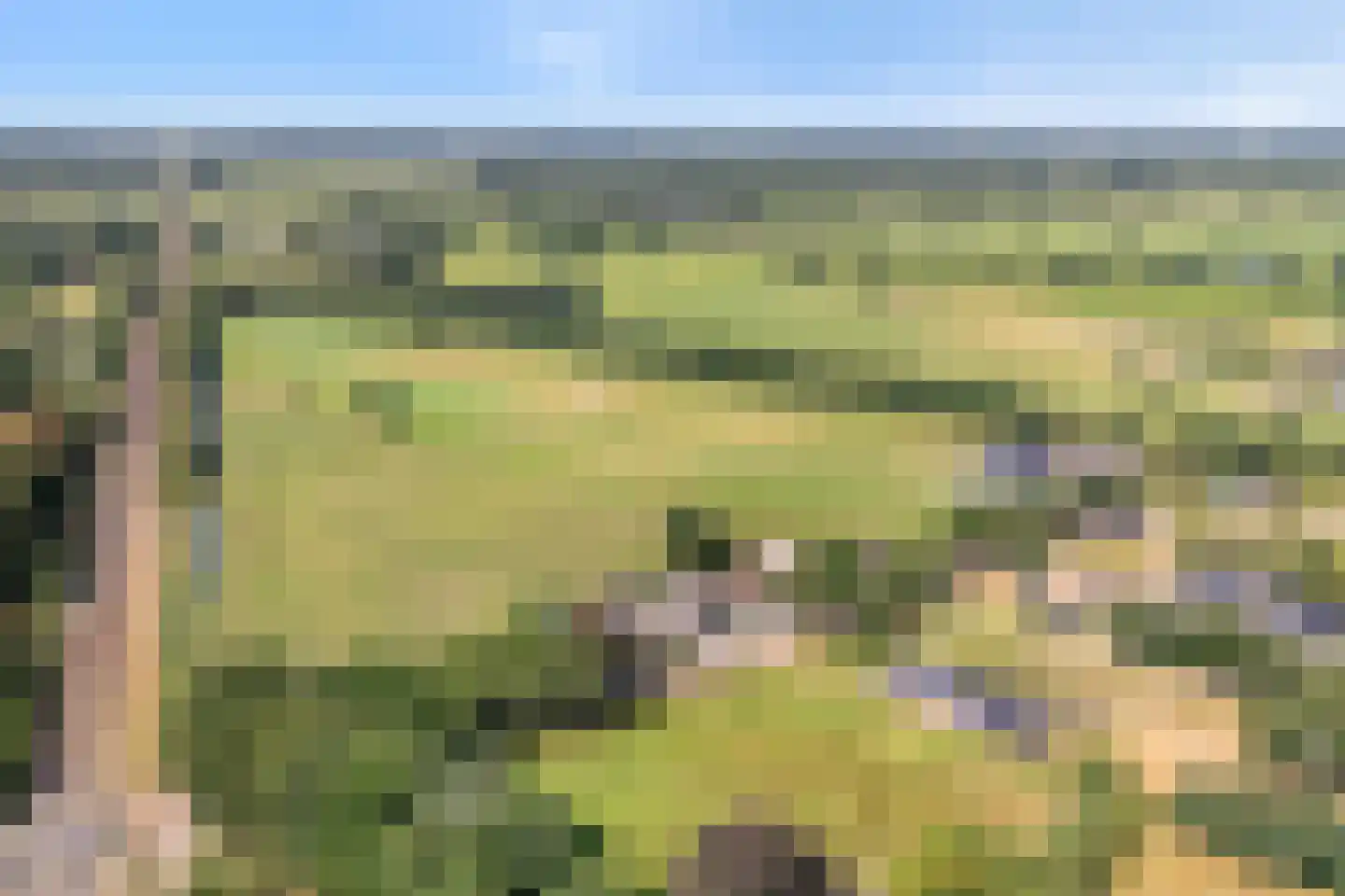 Prinsesseweg 3 Koekange thumbnail 57