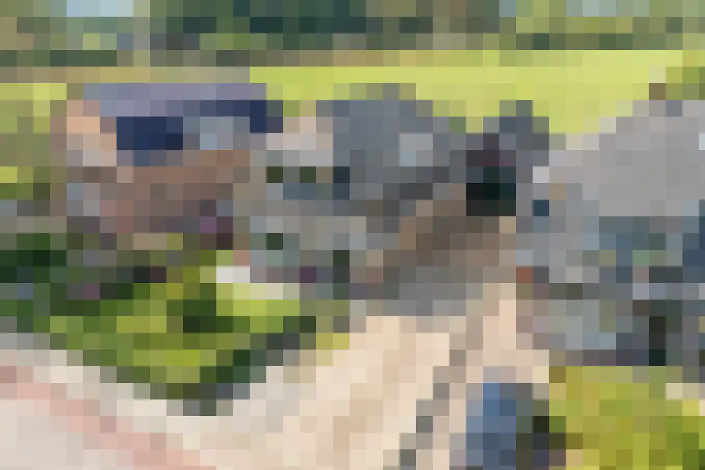 Prinsesseweg 3 Koekange thumbnail 58