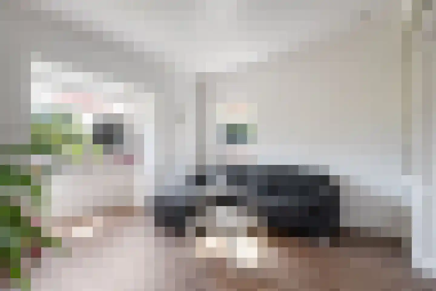 Prinsesseweg 3 Koekange thumbnail 7