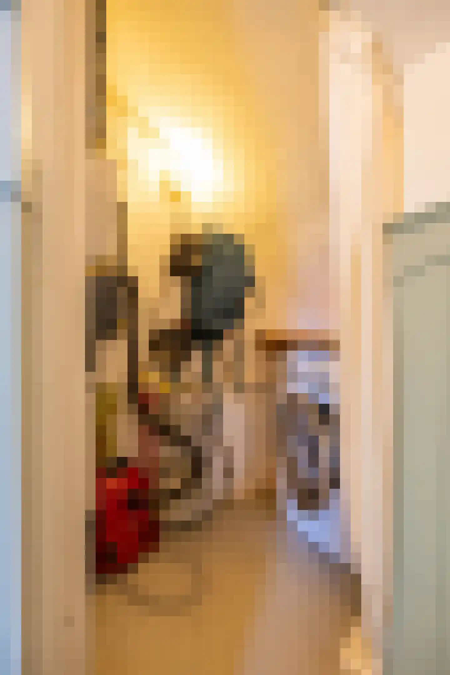 Prinsesseweg 34 Groningen thumbnail 12