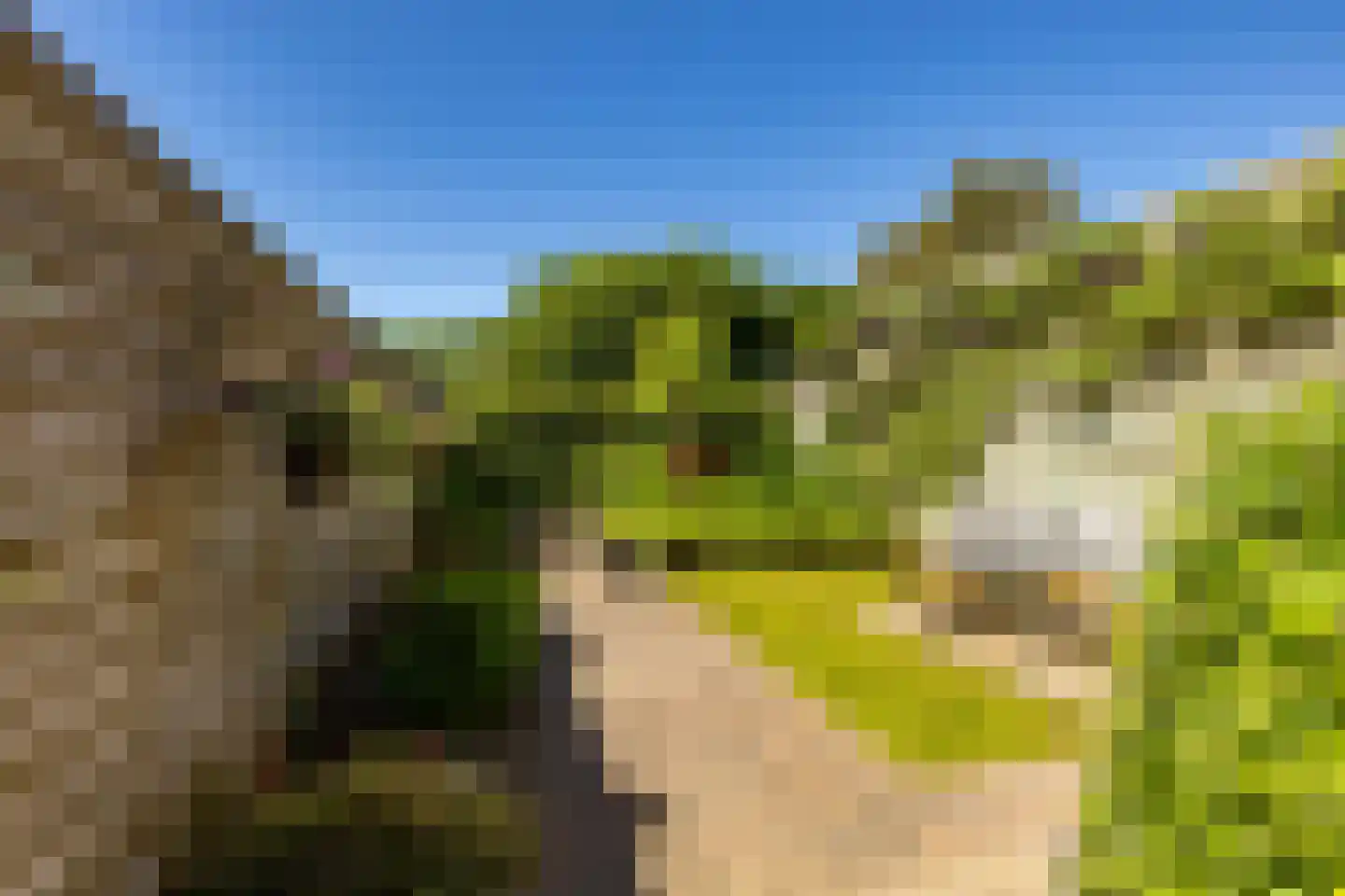 Prinsesseweg 34 Groningen thumbnail 24