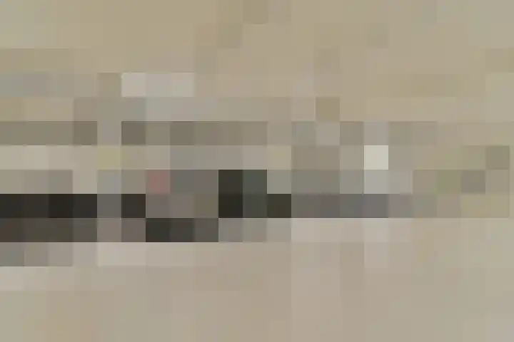 Prinsesseweg 4 d 2 Zandvoort thumbnail 31