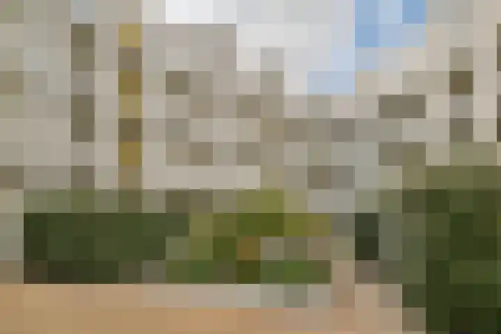 Prinsesseweg 4 d 2 Zandvoort thumbnail 32